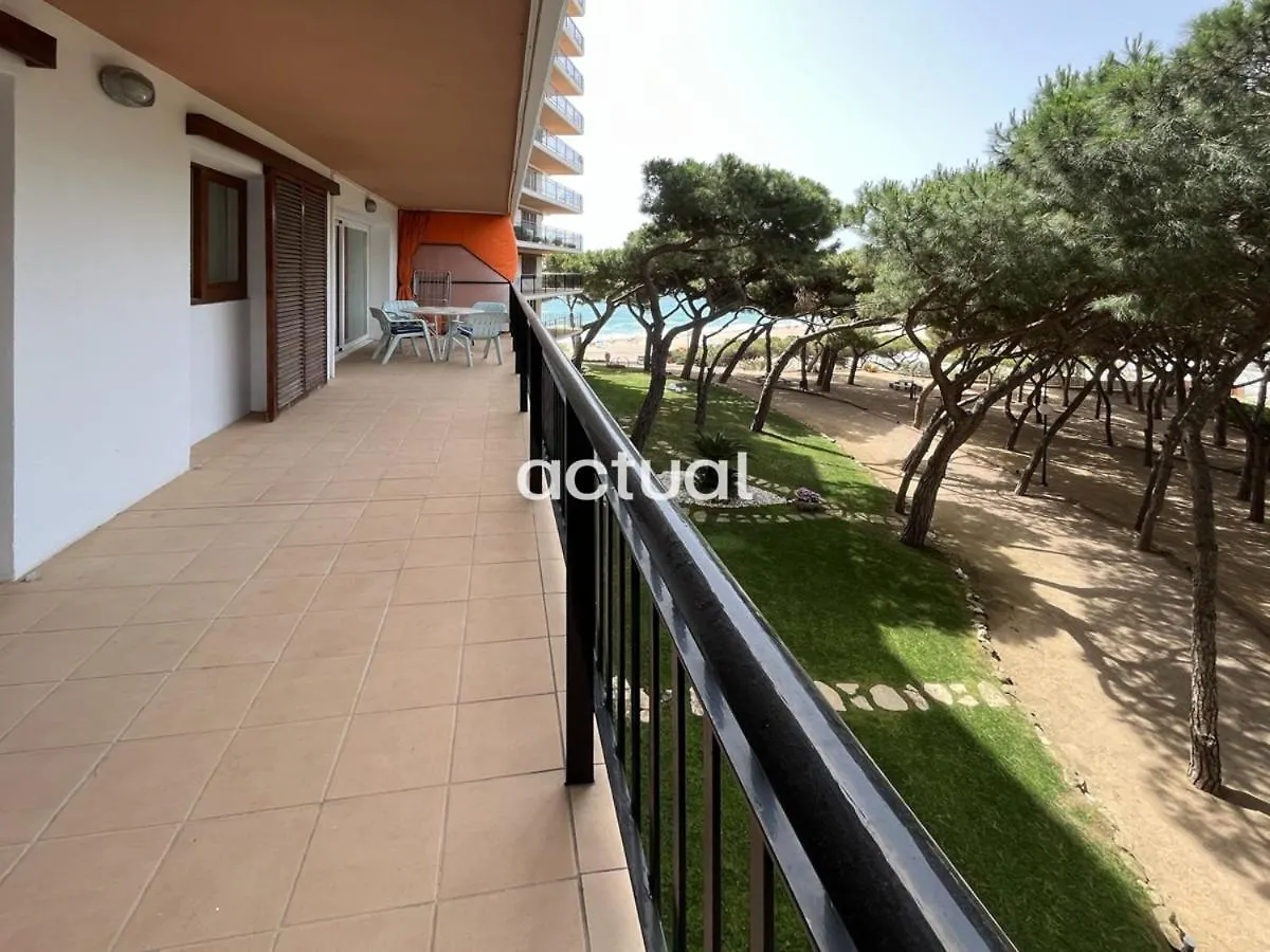 Cavall Bernat 2 Platja d'Aro